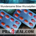 Wundersame Böse Wurzelpillen 05